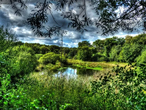 Resser See, Naturschutzgebiet „Im Emscherbruch, nördlich des Ewaldsees