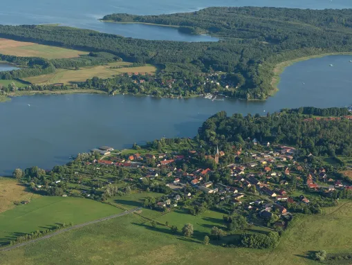 Jabel am Jabelschen See mitten in der Mecklenburger Seenplatte