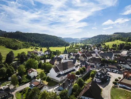 Blick auf Lenzkirch