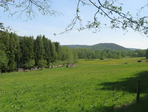 Biebergemünd Kasselgrund