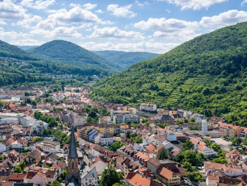 Neustadt an der Weinstraße am Rand des Pfälzerwalds 