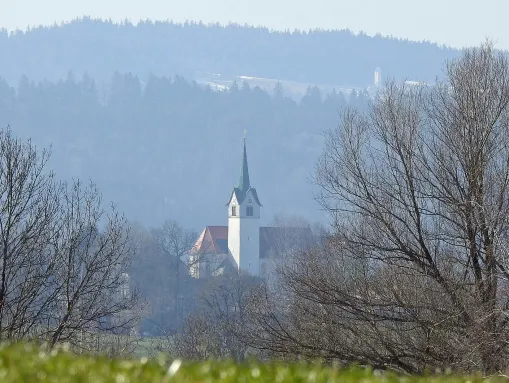 Blick von Norden, dahinter das Möggers/Vorarlberg