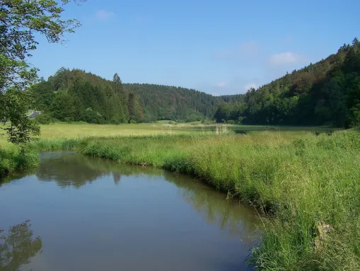 Wissinger Laager (Angelmöglichkeit)