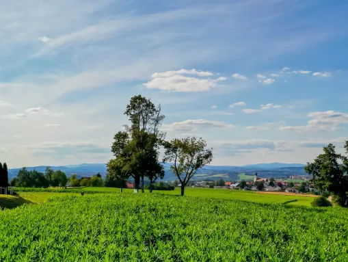 Panoramablick von einer Anhöhe bei Kellberg, Ortsteil der Gemeinde Thyrnau.