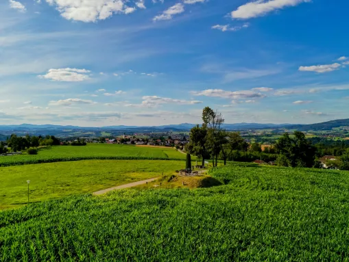 Blick auf Thyrnau (Anhöhe Kellberg-Thyrnau, Kellberger Keltenrunde) 