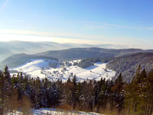 Blick vom Hochkopf nach Süden