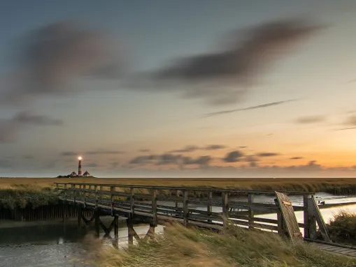 Salzwiese mit Leuchtturm Westerheversand