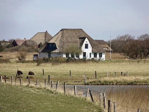 Westerhever Deichstraße 10