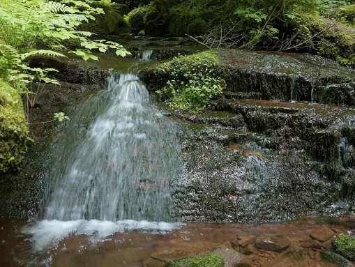 Wolfsschlucht