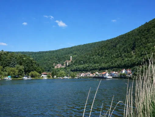 Idylle am Neckar 